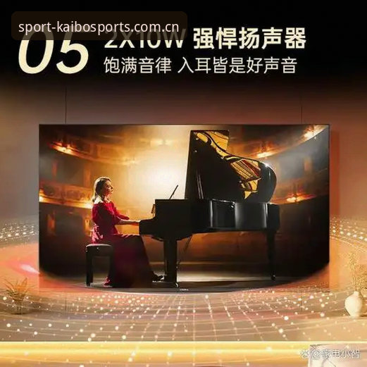 揭秘开博体育2026新版：功能升级背后的技术真相与用户体验深度解析
